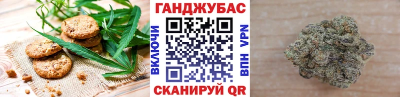 где купить   blacksprut ссылка  Canna-Cookies марихуана  Новая Ладога 