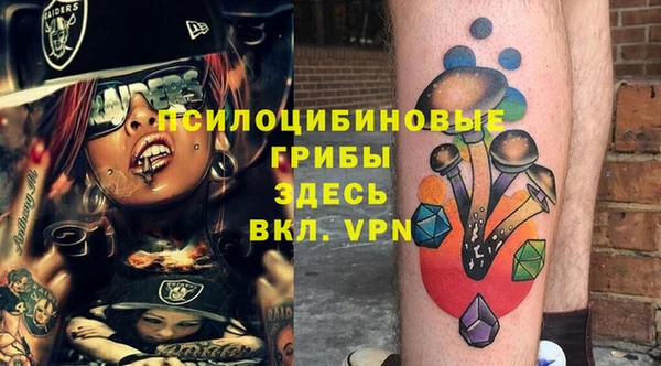 стаф Алексеевка